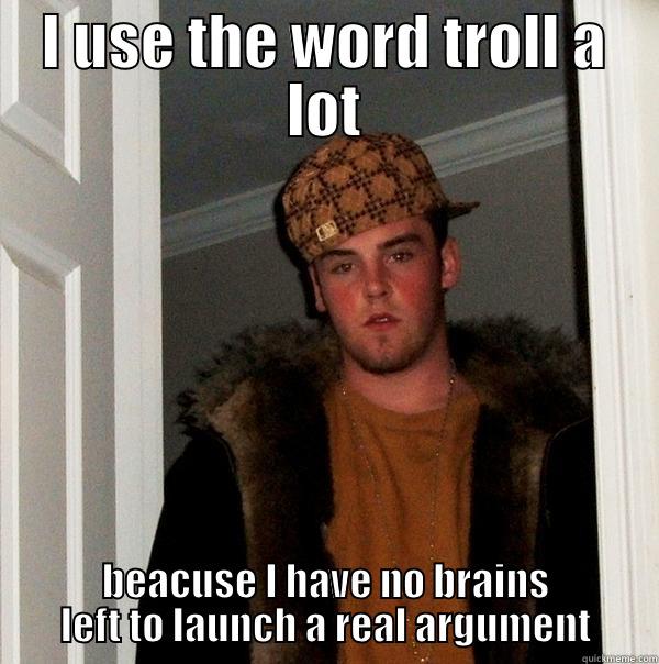 Learn a new word - I USE THE WORD TROLL A LOT BEACUSE I HAVE NO BRAINS LEFT TO LAUNCH A REAL ARGUMENT Scumbag Steve