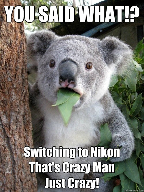 YOU SAID WHAT!? Switching to Nikon
That's Crazy Man
Just Crazy! - YOU SAID WHAT!? Switching to Nikon
That's Crazy Man
Just Crazy!  Stoned Koala