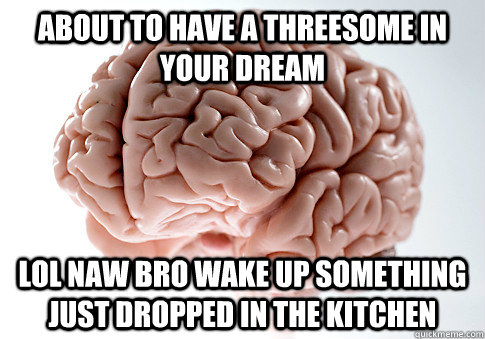 ABOUT TO HAVE A THREESOME IN YOUR DREAM LOL NAW BRO WAKE UP SOMETHING JUST DROPPED IN THE KITCHEN  Scumbag Brain