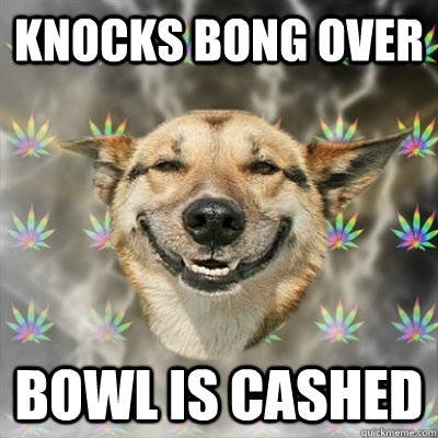 Knocks bong over Bowl is cashed  Stoner Dog