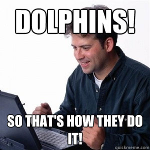 Dolphins! So that's how they do it!  Lonely Computer Guy