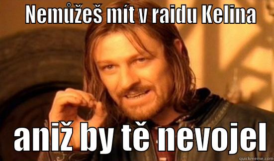    NEMŮŽEŠ MÍT V RAIDU KELINA    ANIŽ BY TĚ NEVOJEL Boromir