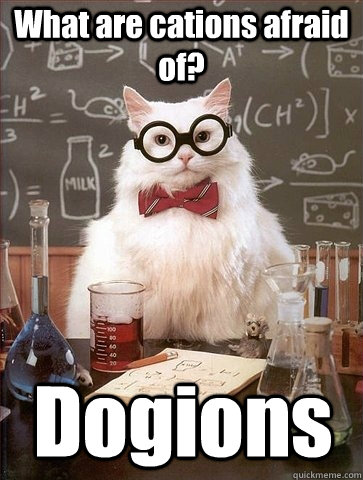 What are cations afraid of? Dogions - What are cations afraid of? Dogions  Chemistry Cat