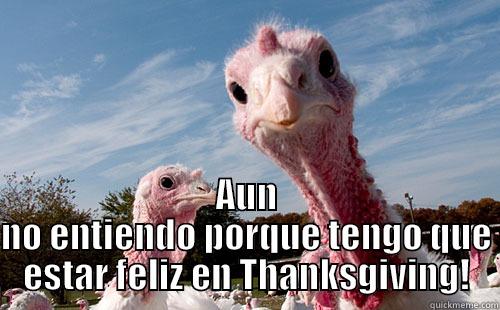 Thanksgiving is not for all. -  AUN NO ENTIENDO PORQUE TENGO QUE ESTAR FELIZ EN THANKSGIVING! Misc