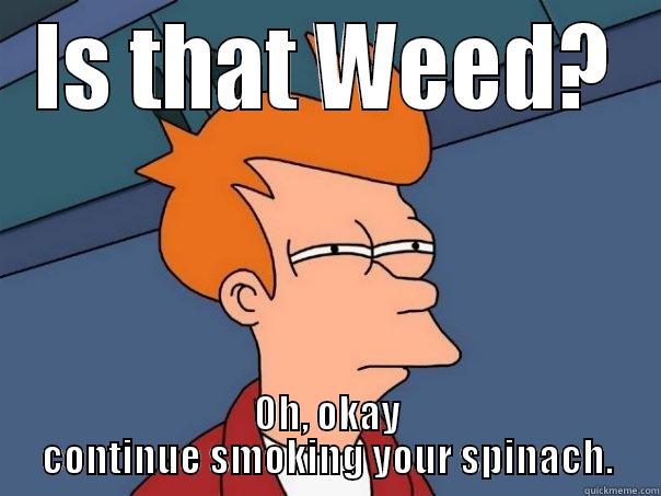 IS THAT WEED? OH, OKAY CONTINUE SMOKING YOUR SPINACH. Futurama Fry