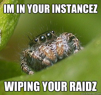 Im in your instancez wiping your RAIDZ  Misunderstood Spider