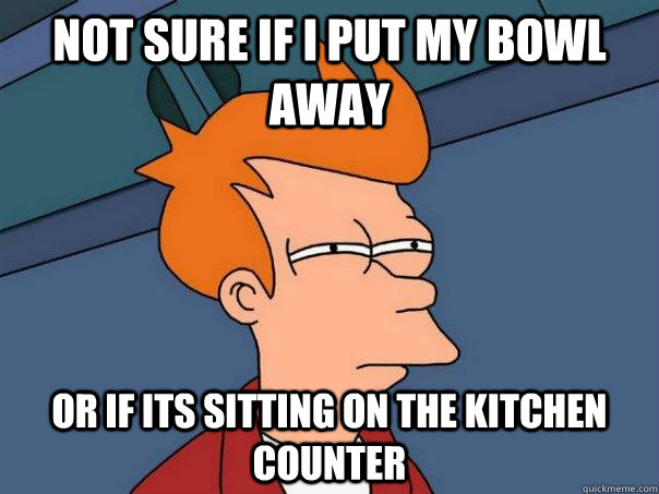 not sure if i put my bowl away Or if its sitting on the kitchen counter - not sure if i put my bowl away Or if its sitting on the kitchen counter  Futurama Fry