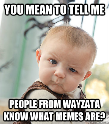 you mean to tell me people from wayzata know what memes are? - you mean to tell me people from wayzata know what memes are?  skeptical baby