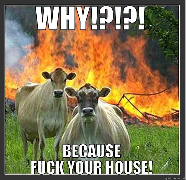 Fuck your House - WHY!?!?! BECAUSE FUCK YOUR HOUSE! Evil cows