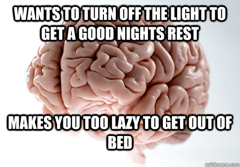 Wants to turn off the light to get a good nights rest Makes you too lazy to get out of bed - Wants to turn off the light to get a good nights rest Makes you too lazy to get out of bed  Scumbag Brain