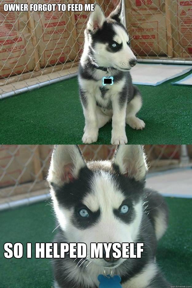 Owner forgot to feed me So i helped myself  Insanity puppy