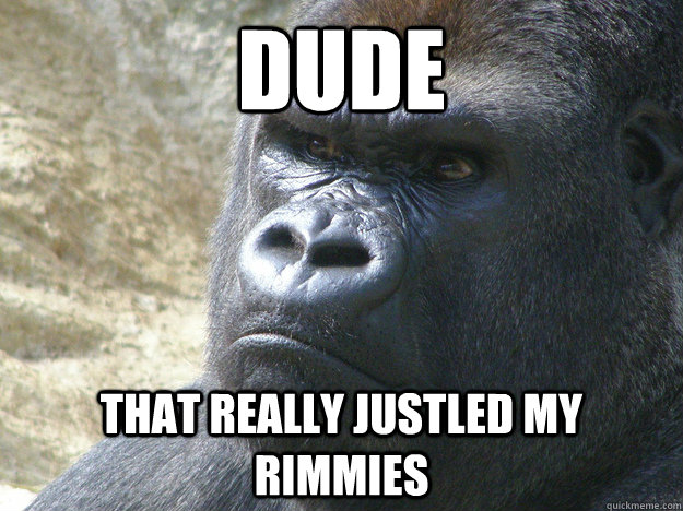 dude that really justled my rimmies - dude that really justled my rimmies  Rustled My Jimmies