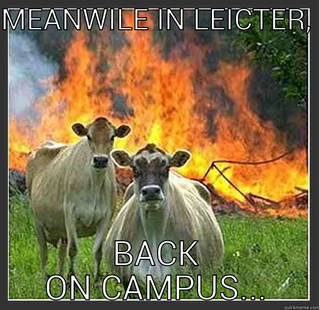 MEANWILE IN LEICTER,  BACK ON CAMPUS... Evil cows