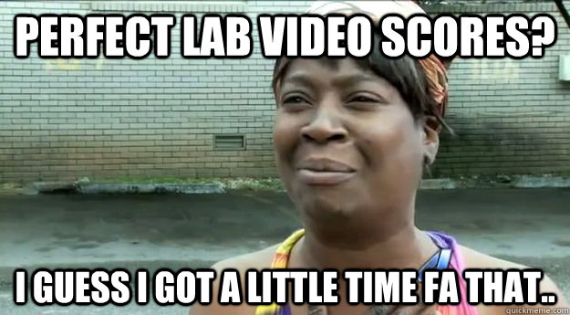 Perfect Lab Video Scores? I guess I got a little time fa that..  Sweet Brown