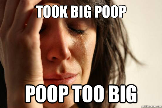 took big poop poop too big - took big poop poop too big  First World Problems