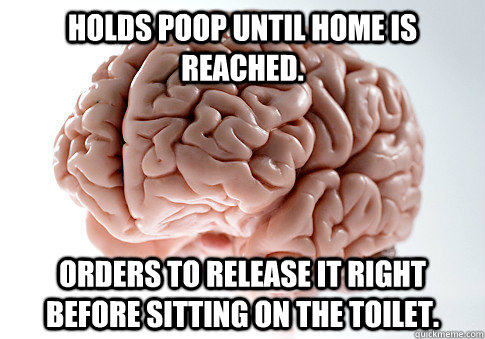 Holds poop until home is reached. orders to release it right before sitting on the toilet.  - Holds poop until home is reached. orders to release it right before sitting on the toilet.   Scumbag Brain