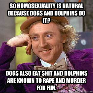 So homosexuality is natural because dogs and dolphins do it? Dogs also eat shit and dolphins are known to rape and murder for fun.   Condescending Wonka