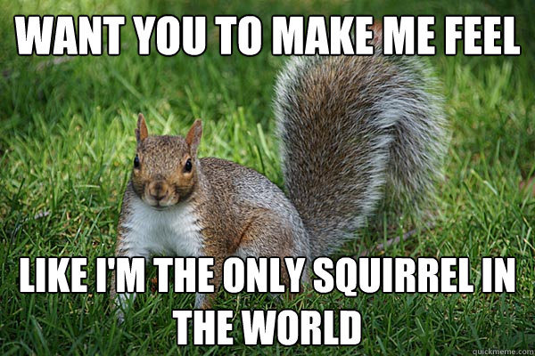 Want you to make me feel Like I'm the only squirrel in the world - Want you to make me feel Like I'm the only squirrel in the world  Adele