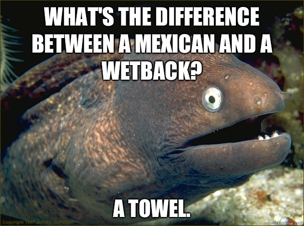 What's the difference between a Mexican and a wetback? A towel. - What's the difference between a Mexican and a wetback? A towel.  Bad Joke Eel