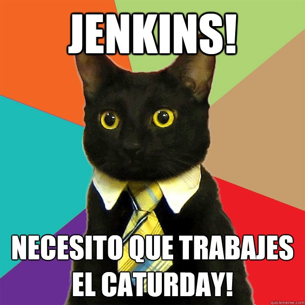 JENKINS! NECESITO QUE TRABAJES EL CATURDAY!  Business Cat