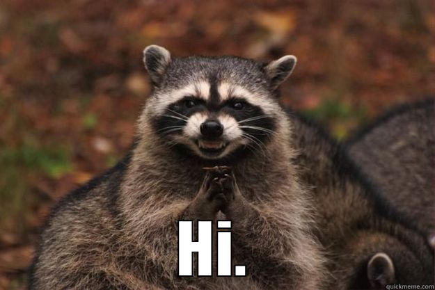  HI. Evil Plotting Raccoon