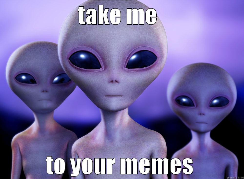 TAKE ME  TO YOUR MEMES Misc