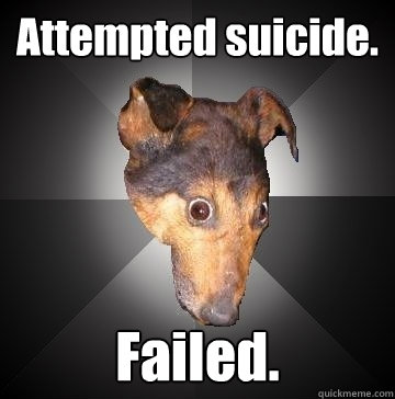 Attempted suicide. Failed.  Depression Dog