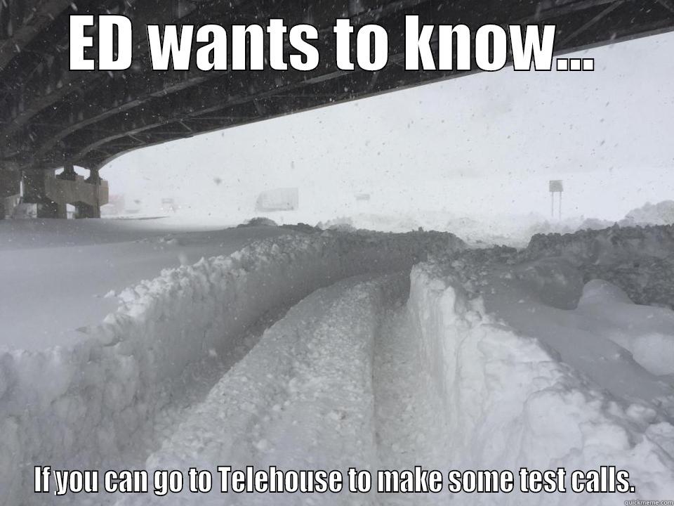 snowfall noooo - ED WANTS TO KNOW... IF YOU CAN GO TO TELEHOUSE TO MAKE SOME TEST CALLS. Misc