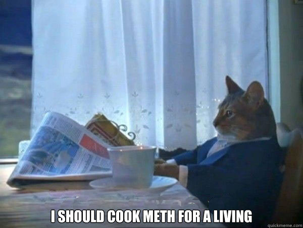  I should cook meth for a living  