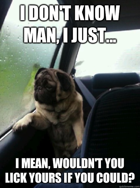 I don't know man, I just... I mean, wouldn't you lick yours if you could?  Introspective Pug