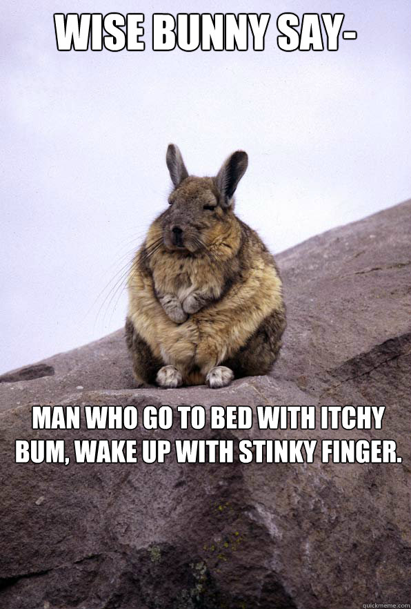 Wise BUnny say- Man who go to bed with itchy bum, wake up with stinky finger. - Wise BUnny say- Man who go to bed with itchy bum, wake up with stinky finger.  Wise Bunny