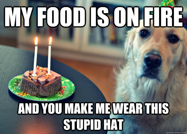 my food is on fire and you make me wear this stupid hat - my food is on fire and you make me wear this stupid hat  Sad Birthday Dog