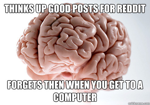 Thinks up good posts for reddit Forgets then when you get to a computer  Scumbag Brain