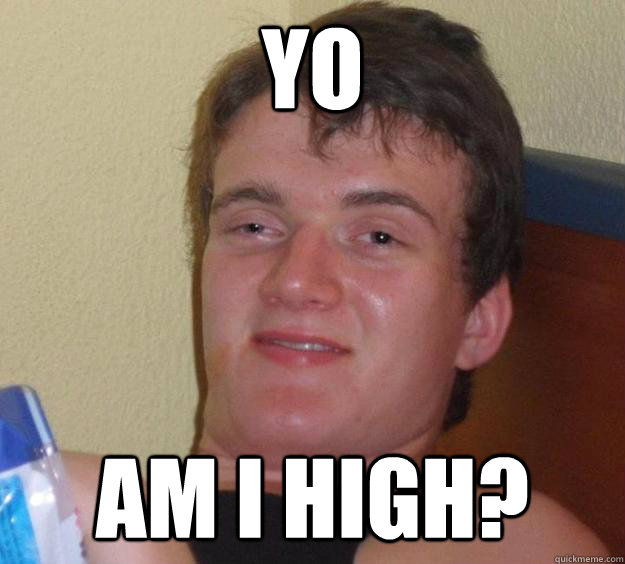 yo am i high? - yo am i high?  10 Guy