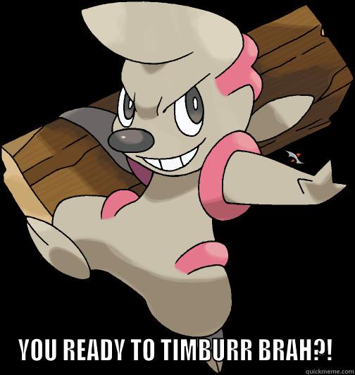 Are You Ready To Timburr?!  -  YOU READY TO TIMBURR BRAH?! Misc