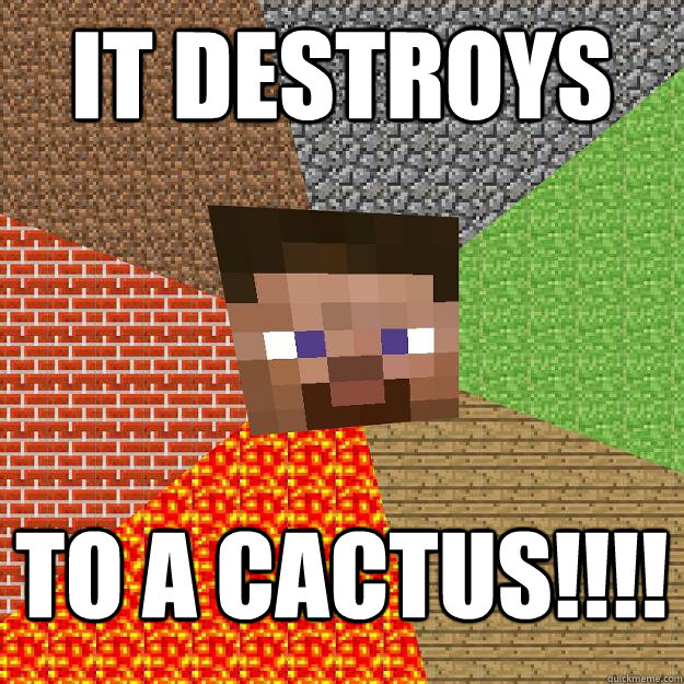 IT DESTROYS to a cactus!!!!  Minecraft