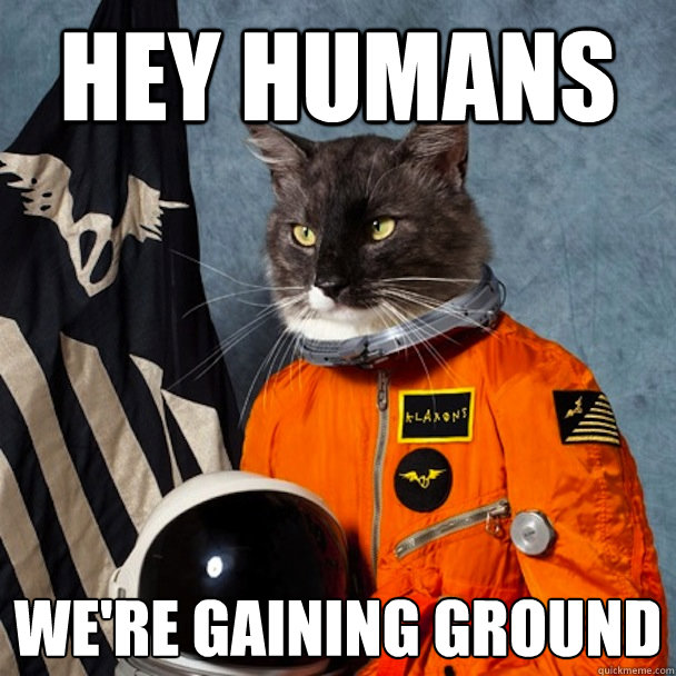 Hey Humans We're gaining ground - Hey Humans We're gaining ground  Misc