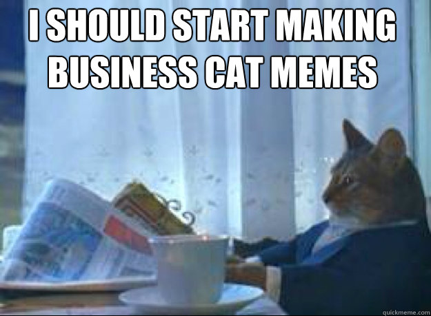 I should start making business cat memes   I should buy a boat cat