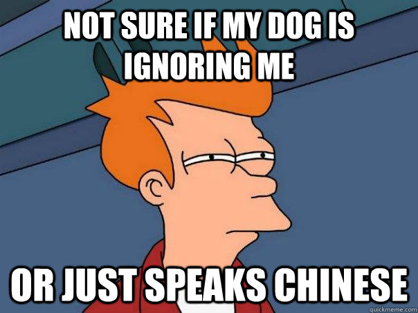 Not sure if my dog is ignoring me Or just speaks Chinese  Futurama Fry