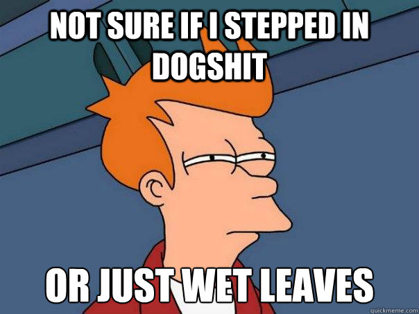 Not sure if I stepped in dogshit Or just wet leaves - Not sure if I stepped in dogshit Or just wet leaves  Futurama Fry