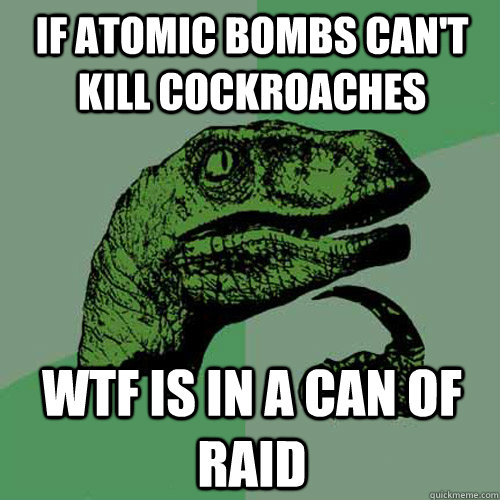 if atomic bombs can't kill cockroaches WTF is in a can of RAID  Philosoraptor