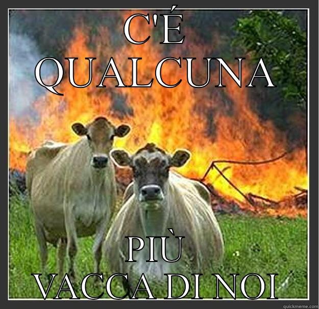 C'É QUALCUNA PIÙ VACCA DI NOI Evil cows