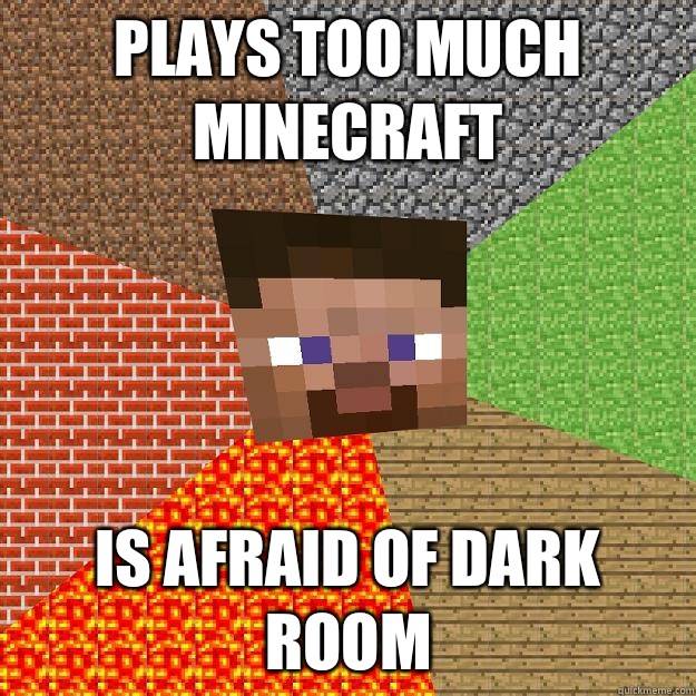 Plays too much minecraft Is afraid of dark room  Minecraft