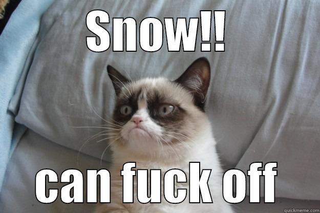 SNOW!! CAN FUCK OFF Grumpy Cat