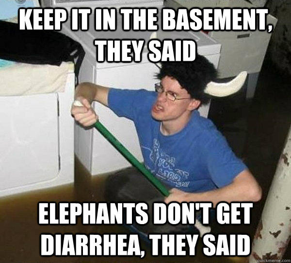 Keep it in the basement, they said Elephants don't get diarrhea, they said  