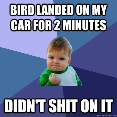 Bird landed on my car for 2 minutes  didn't shit on it  Success Kid