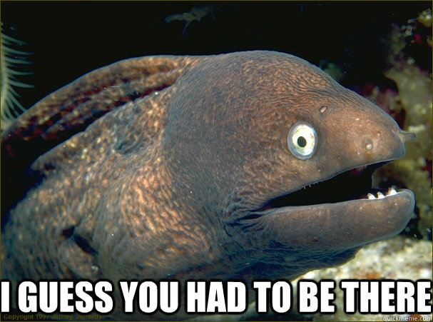  I guess you had to be there  Bad Joke Eel