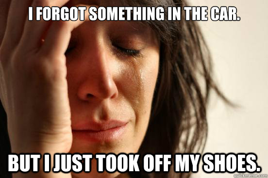 I forgot something in the car. But I just took off my shoes. - I forgot something in the car. But I just took off my shoes.  First World Problems