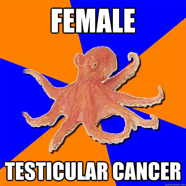 Female Testicular Cancer  Online Diagnosis Octopus