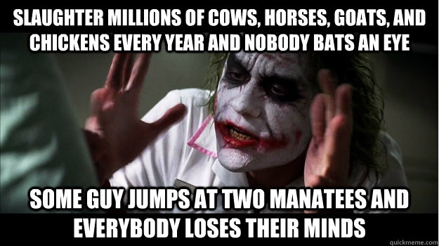 Slaughter millions of cows, horses, goats, and chickens every year and nobody bats an eye Some guy jumps at two manatees and everybody loses their minds  Joker Mind Loss